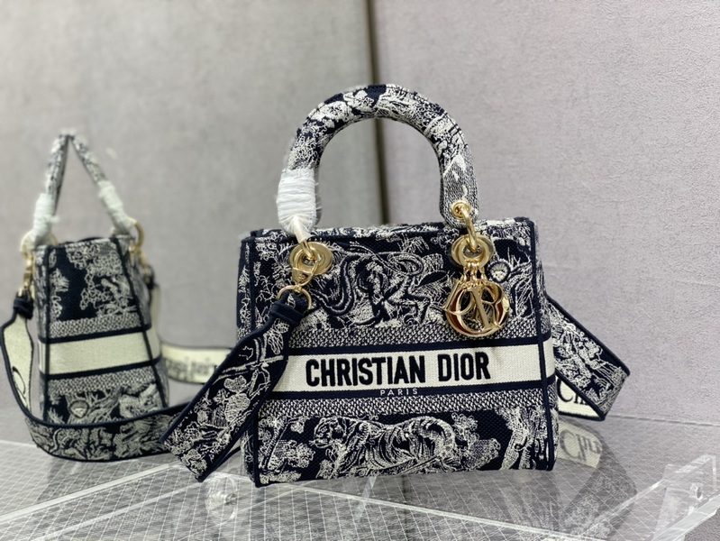 Dior Handbags AAA(Women)-499