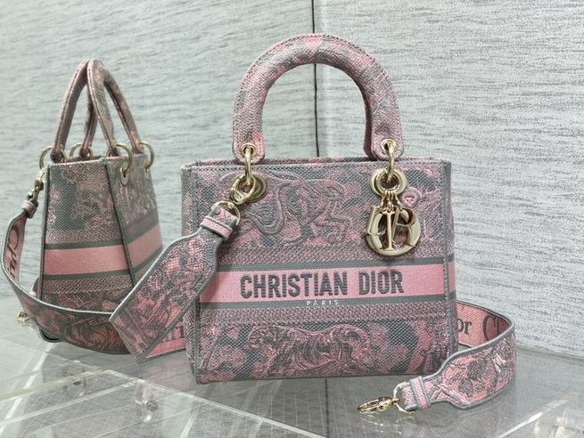 Dior Handbags AAA(Women)-669