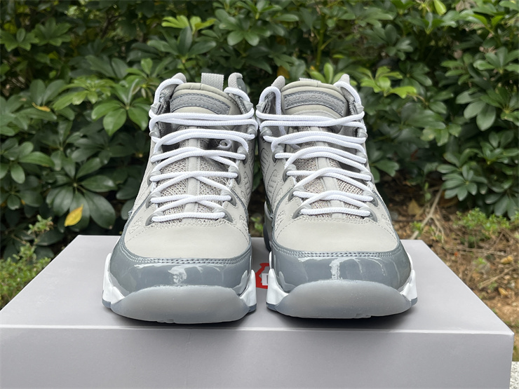 Air Jordan 9 Cool Grey